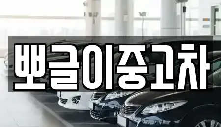 강원 태백시 장성동 중고차매매 전문 뽀글이중고차
