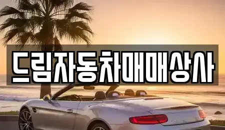 강원 홍천군 화촌면 중고차 전문 드림자동차매매상사