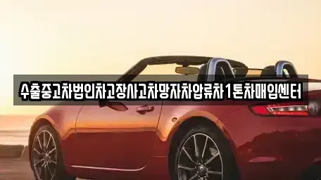 강원 화천군 간동면 중고차 전문 수출중고차법인차고장사고차망자차압류차1톤차매입센터