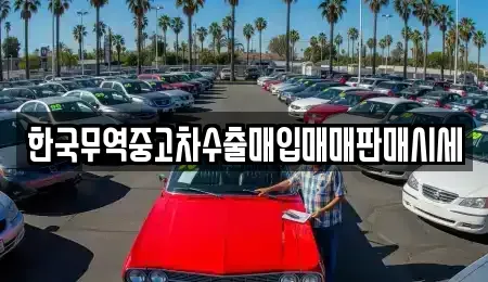 강원 화천군 간동면 중고차 전문 한국무역중고차수출매입매매판매시세