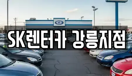 강원특별자치도 강릉시 포남동 장기렌트카 전문 SK렌터카 강릉지점