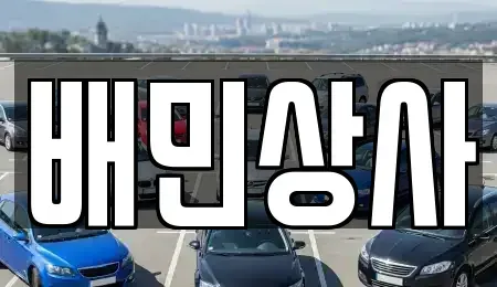 강원특별자치도 강릉시 포남동 중고차 전문 배민상사