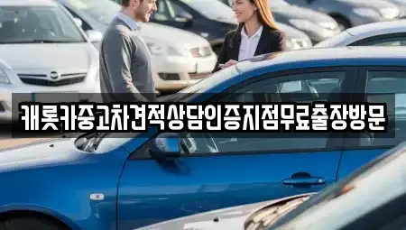 강원특별자치도 강릉시 포남동 중고차 전문 캐롯카중고차견적상담인증지점무료출장방문