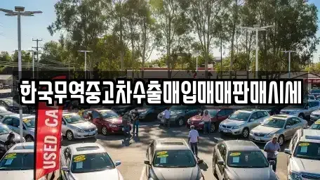 강원특별자치도 동해시 묵호진동 중고차 전문 한국무역중고차수출매입매매판매시세