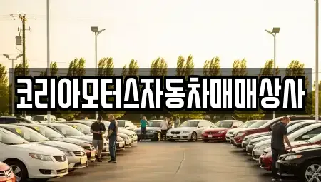 강원특별자치도 동해시 묵호진동 중고차매매 전문 코리아모터스자동차매매상사