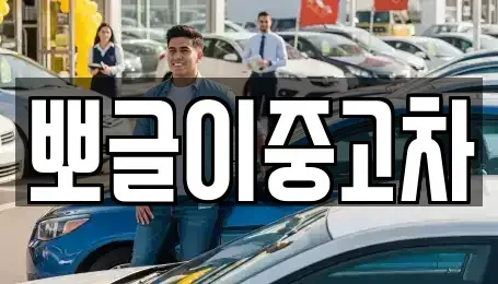 강원특별자치도 동해시 이로동 중고차매매 전문 뽀글이중고차