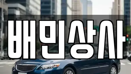 강원특별자치도 삼척시 성북동 중고차 전문 배민상사