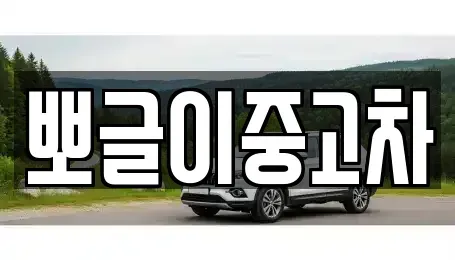 강원특별자치도 속초시 대포동 중고차매매 전문 뽀글이중고차
