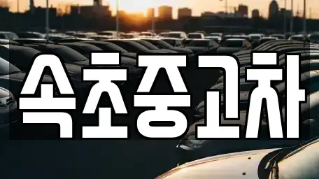 강원특별자치도 속초시 대포동 중고차매매,단기렌트카,중고차매입,장기렌트카,중고차,렌트카