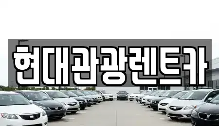 강원특별자치도 속초시 중앙동 렌트카 전문 현대관광렌트카