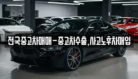 강원특별자치도 속초시 중앙동 중고차매입 전문 전국중고차매매-중고차수출,사고노후차매입