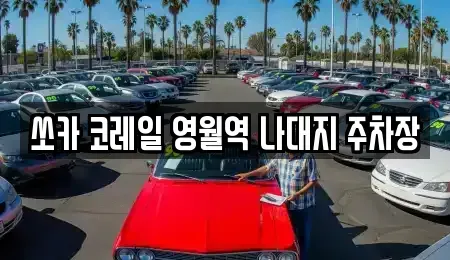 강원특별자치도 영월군 렌트카 전문 쏘카 코레일 영월역 나대지 주차장