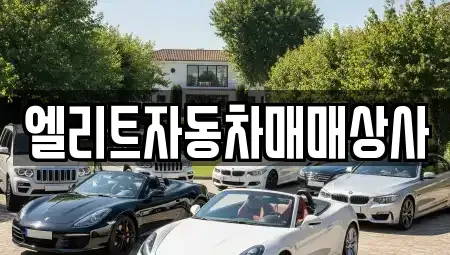 강원특별자치도 원주시 단계동 중고차 전문 엘리트자동차매매상사