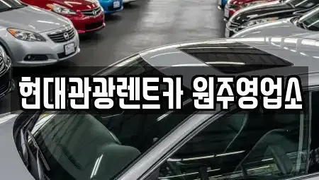 강원특별자치도 원주시 렌트카,단기렌트카,장기렌트카,중고차,중고차매매,중고차매입