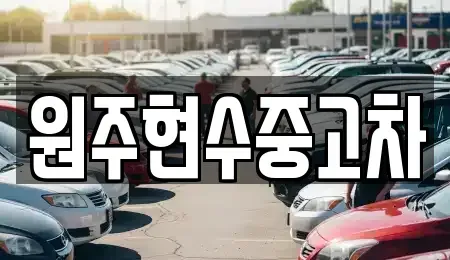 강원특별자치도 원주시 중고차매매 전문 원주현수중고차