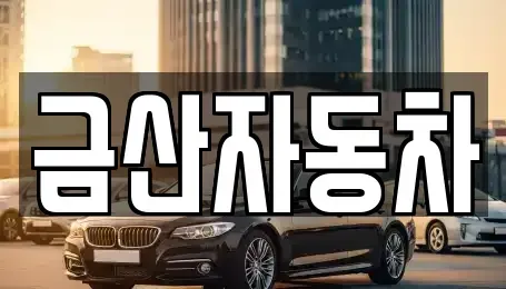 강원특별자치도 춘천시 동면 중고차 전문 금산자동차
