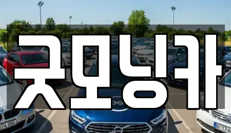 강원특별자치도 춘천시 소양로1가 중고차,렌트카,중고차매입,중고차매매,장기렌트카,단기렌트카