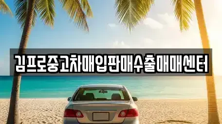 강원특별자치도 태백시 소도동 중고차매매 전문 김프로중고차매입판매수출매매센터