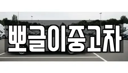 강원특별자치도 태백시 소도동 중고차매매 전문 뽀글이중고차