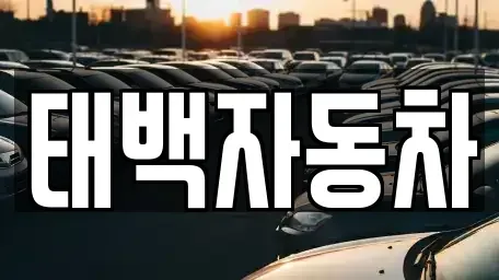 강원특별자치도 태백시 소도동 중고차매매 전문 태백자동차