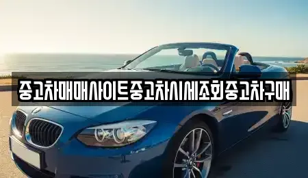 강원특별자치도 화천군 중고차매매 전문 중고차매매사이트중고차시세조회중고차구매