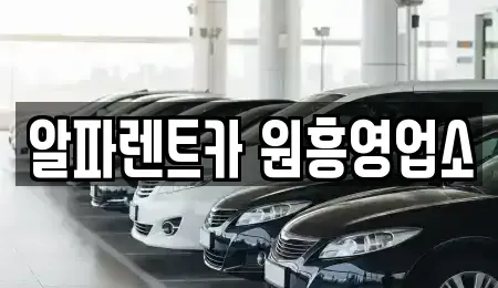 경기 고양시 덕양구 동산동 렌트카 전문 알파렌트카 원흥영업소
