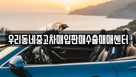 경기 고양시 덕양구 동산동 중고차매매 전문 우리동네중고차매입판매수출매매센터