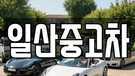 경기 고양시 덕양구 동산동 중고차매매 전문 일산중고차