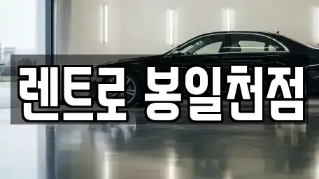 경기 고양시 일산동구 설문동 렌트카 전문 렌트로 봉일천점