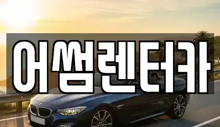 경기 고양시 일산동구 설문동 렌트카 전문 어썸렌터카