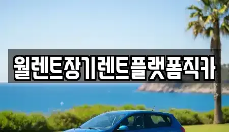 경기 고양시 일산동구 설문동 장기렌트카 전문 월렌트장기렌트플랫폼직카