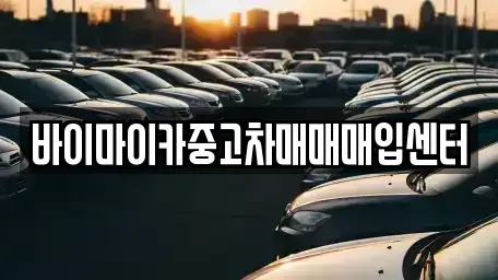 경기 고양시 일산동구 설문동 중고차 전문 바이마이카중고차매매매입센터