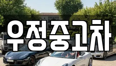 경기 고양시 일산동구 설문동 중고차 전문 우정중고차