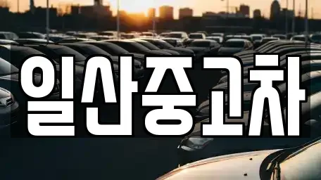 경기 고양시 일산동구 설문동 중고차,렌트카,중고차매입,중고차매매,장기렌트카,단기렌트카