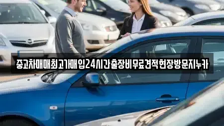 경기 고양시 일산동구 설문동 중고차 전문 중고차매매최고가매입24시간출장비무료견적현장방문지누카