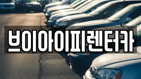 경기 고양시 일산동구 성석동 렌트카 전문 브이아이피렌터카