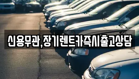 경기 고양시 일산동구 성석동 장기렌트카 전문 신용무관,장기렌트카즉시출고상담