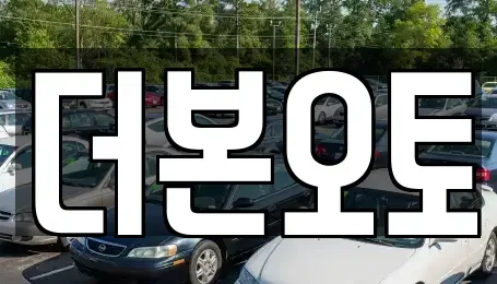 경기 고양시 일산동구 성석동 중고차 전문 더본오토