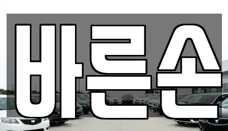 경기 고양시 일산동구 성석동 중고차 전문 바른손