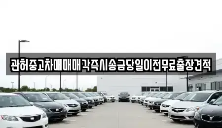 경기 고양시 일산동구 지영동 중고차 전문 관허중고차매매매각즉시송금당일이전무료출장견적