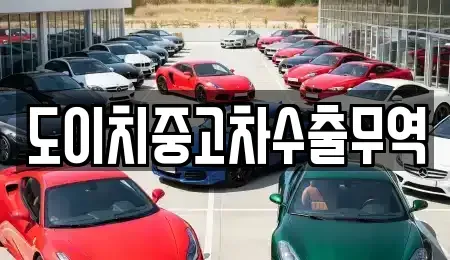 경기 고양시 일산동구 지영동 중고차 전문 도이치중고차수출무역