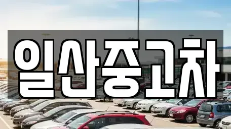 경기 고양시 일산동구 지영동 중고차 전문 일산중고차