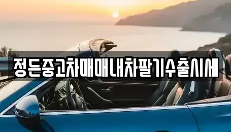 경기 고양시 일산동구 지영동 중고차 전문 정든중고차매매내차팔기수출시세