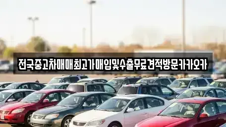 경기 고양시 일산동구 지영동 중고차매입 전문 전국중고차매매최고가매입및수출무료견적방문카카오카