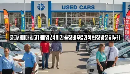 경기 고양시 일산동구 지영동 중고차매입 전문 중고차매매최고가매입24시간출장비무료견적현장방문지누카