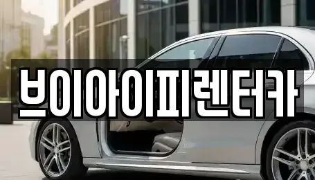 경기 고양시 일산동구 풍동 렌트카 전문 브이아이피렌터카