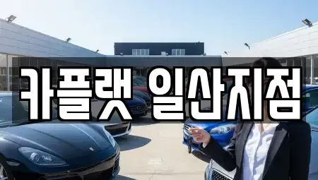 경기 고양시 일산동구 풍동 렌트카 전문 카플랫 일산지점