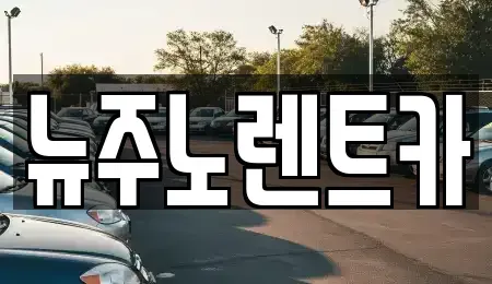 경기 고양시 일산동구 풍동 장기렌트카 전문 뉴주노렌트카