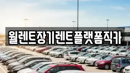 경기 고양시 일산동구 풍동 장기렌트카 전문 월렌트장기렌트플랫폼직카