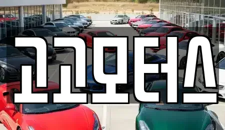 경기 고양시 일산동구 풍동 중고차 전문 고고모터스